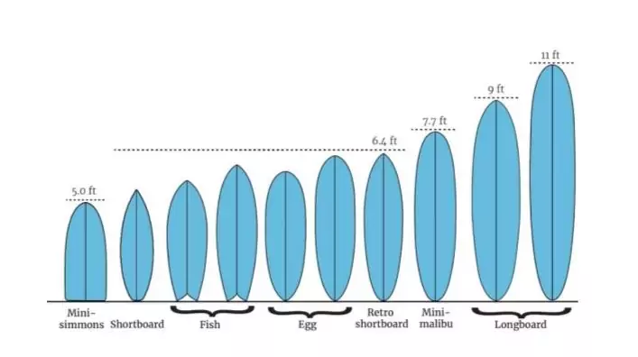 graphic showing surfboard types